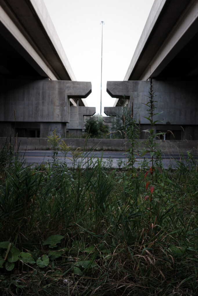 Under the bridge