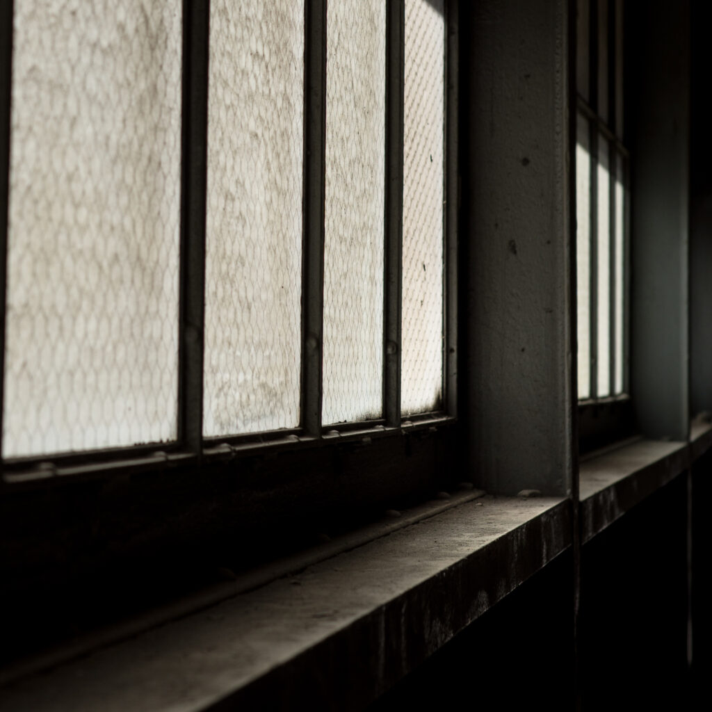 Dust and Light