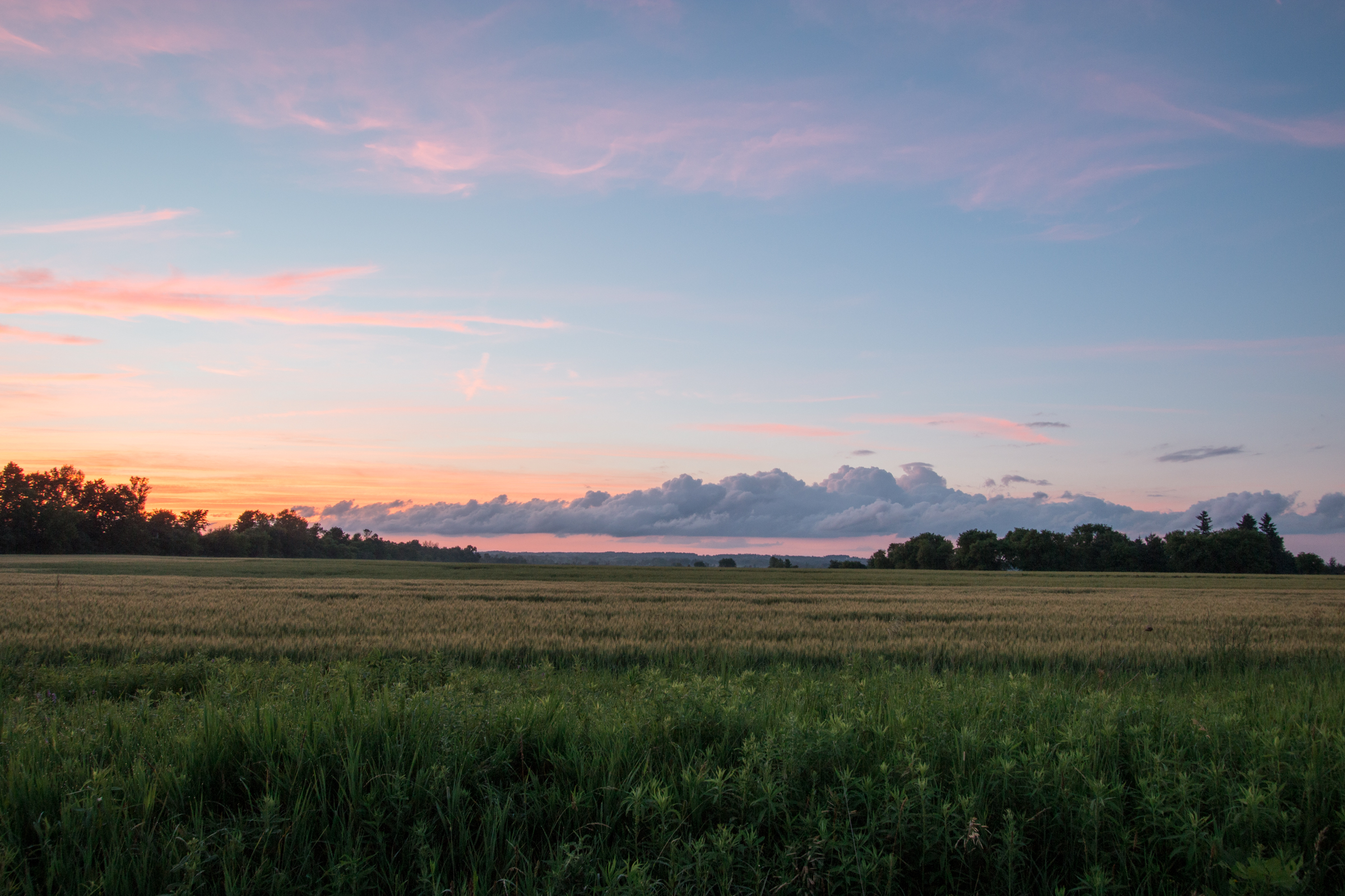 Sunset over a farm field