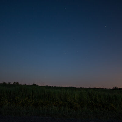 The Stars come out